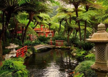 Japanese Gardens Create Sanctuaries of Peace and Contemplation