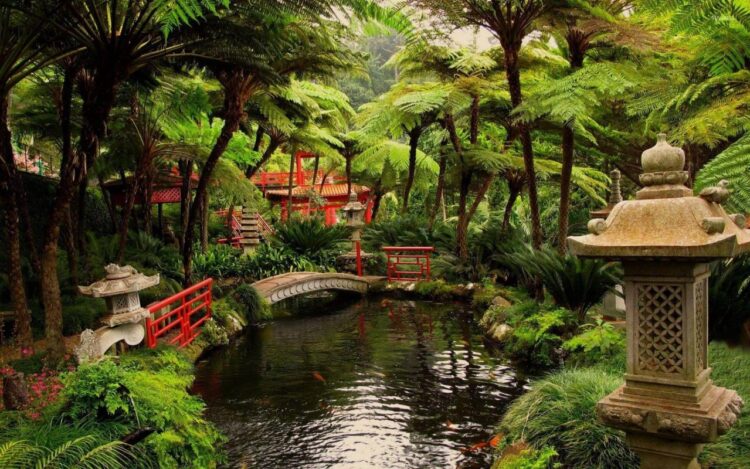Japanese Gardens Create Sanctuaries of Peace and Contemplation