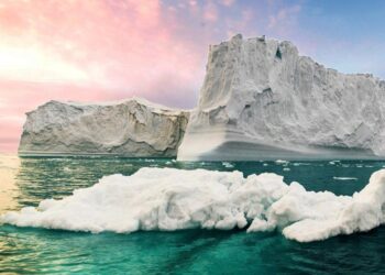 Saving the $5 Million Sea View